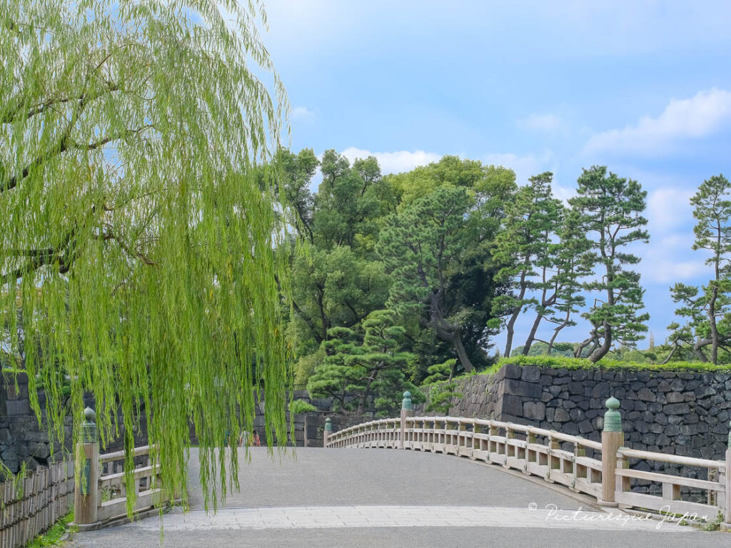 和田倉橋と石垣