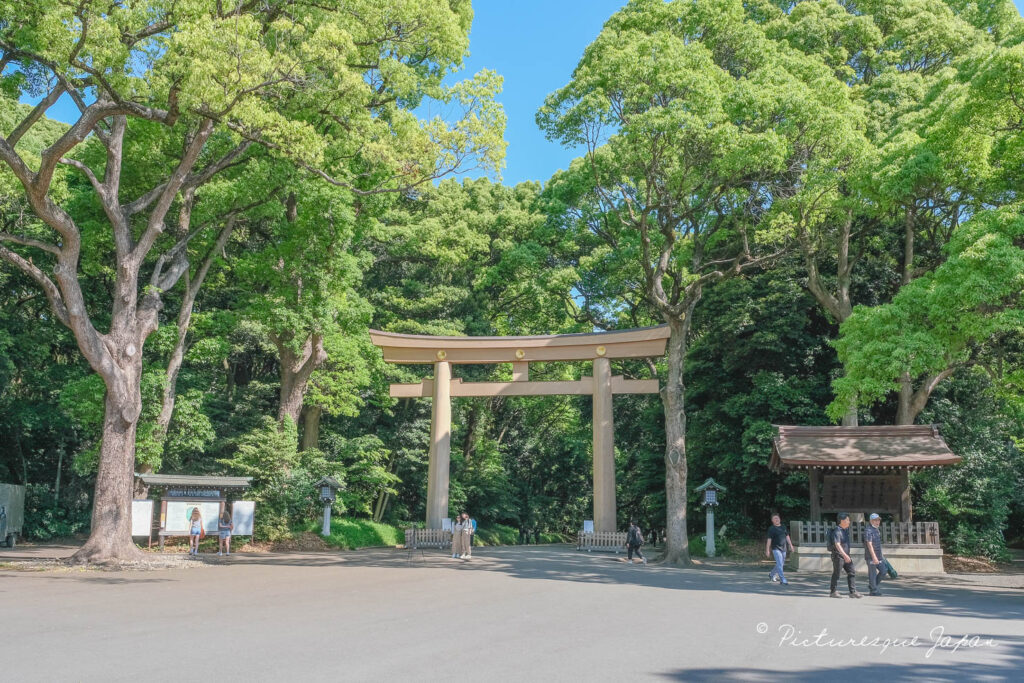 日本を代表する神社「明治神宮」