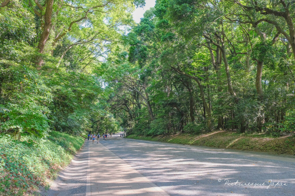 「明治神宮」の南参道