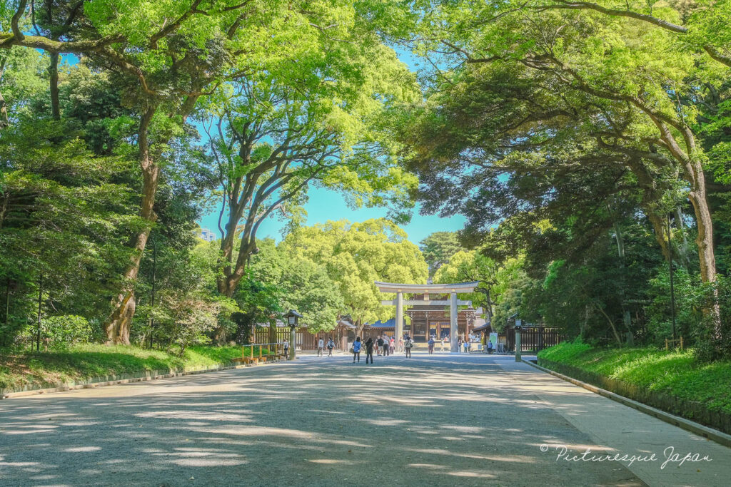 明治神宮の本殿に通じる鳥居