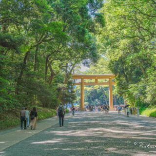 明治神宮御軸　明治神宮 20241456-320x320.jpg