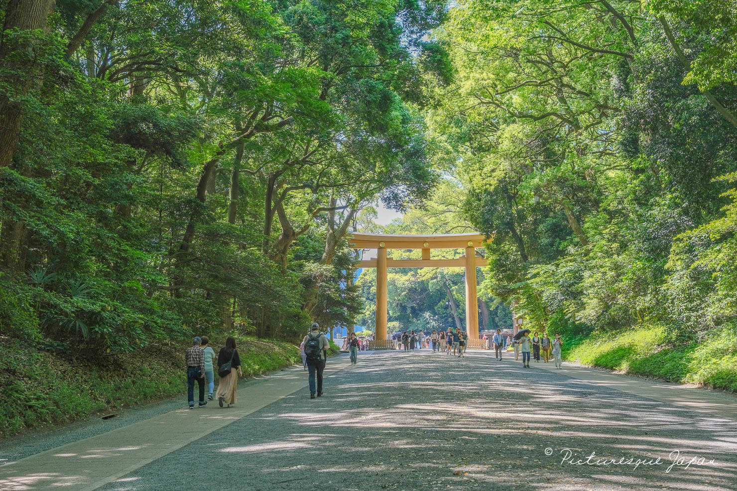 東京都渋谷区代々木にある緑豊かな100年の杜「明治神宮」