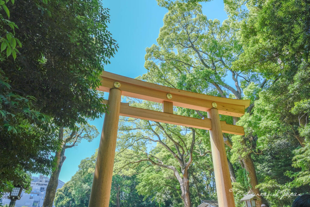 都心のオアシスである明治神宮