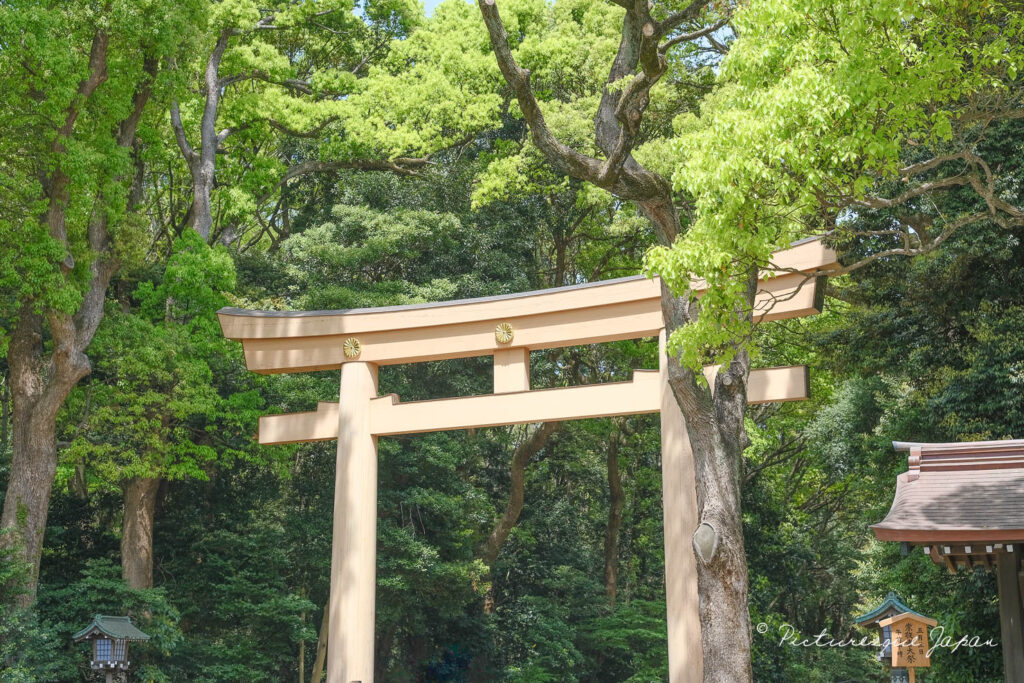 日本を代表する神社「明治神宮」の鳥居