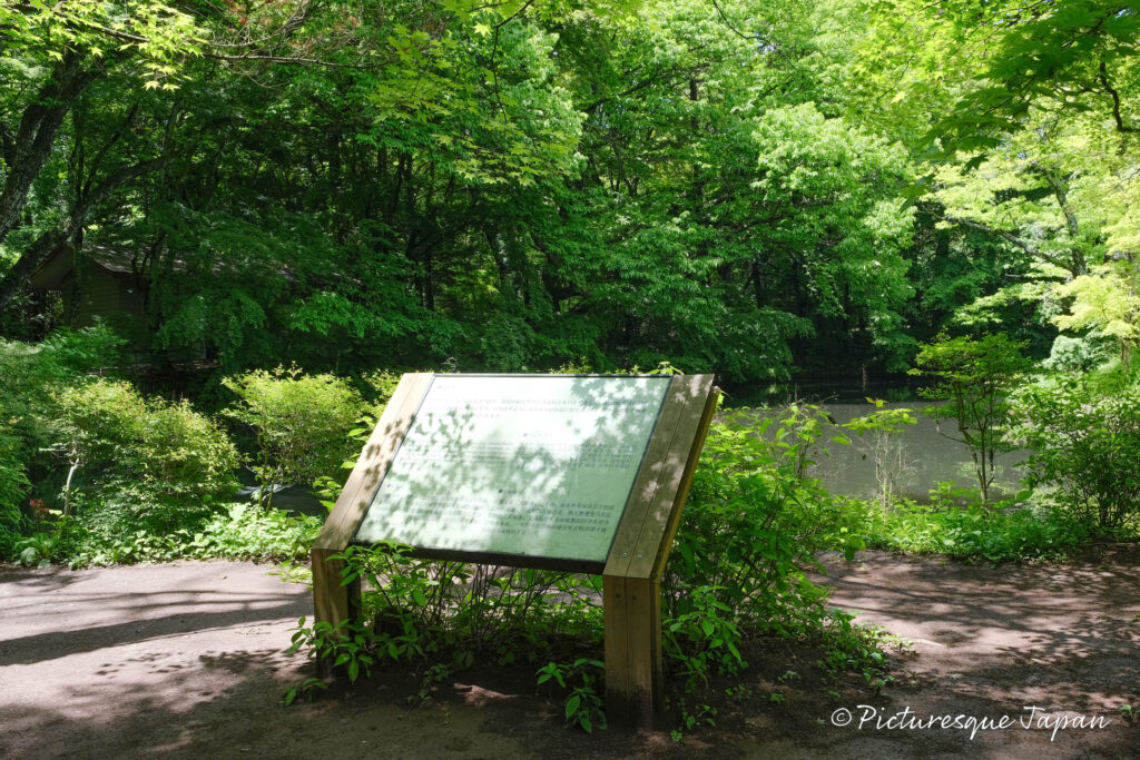 雲場池の案内看板